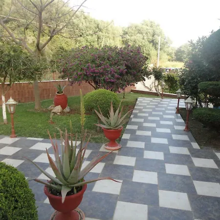 Elpida * سفوروناتا