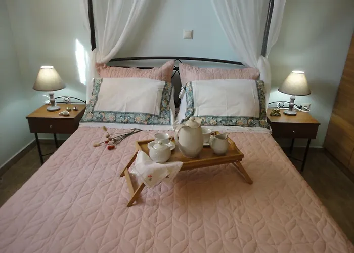 Elpida * 斯沃伦塔