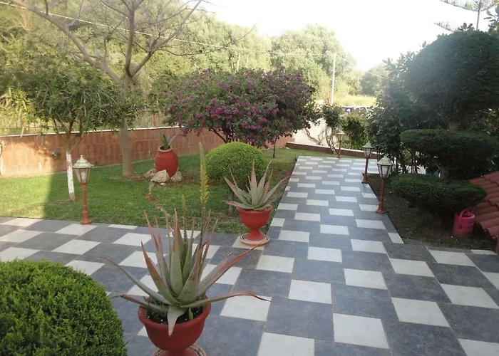 Elpida * 스보로나타